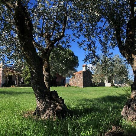 S'Ulumu Konuk evi Dorgali Dış mekan fotoğraf