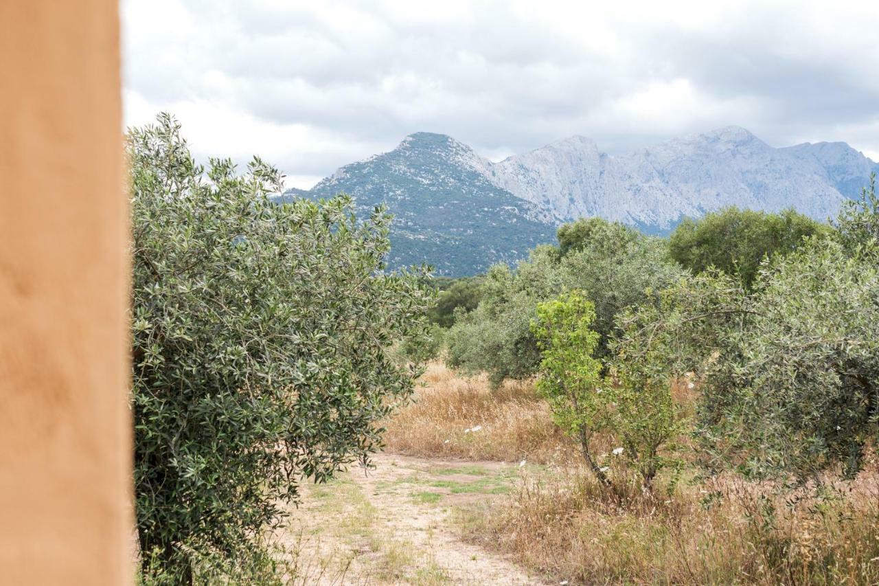 S'Ulumu Konuk evi Dorgali Dış mekan fotoğraf