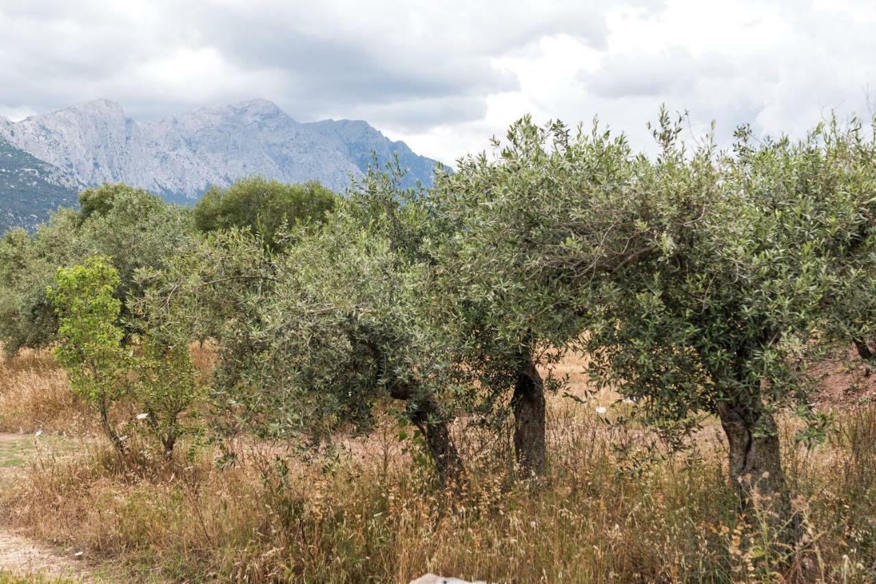 S'Ulumu Konuk evi Dorgali Dış mekan fotoğraf