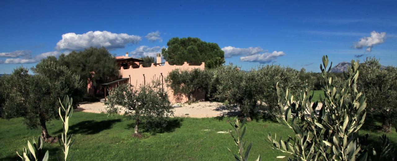 S'Ulumu Konuk evi Dorgali Dış mekan fotoğraf