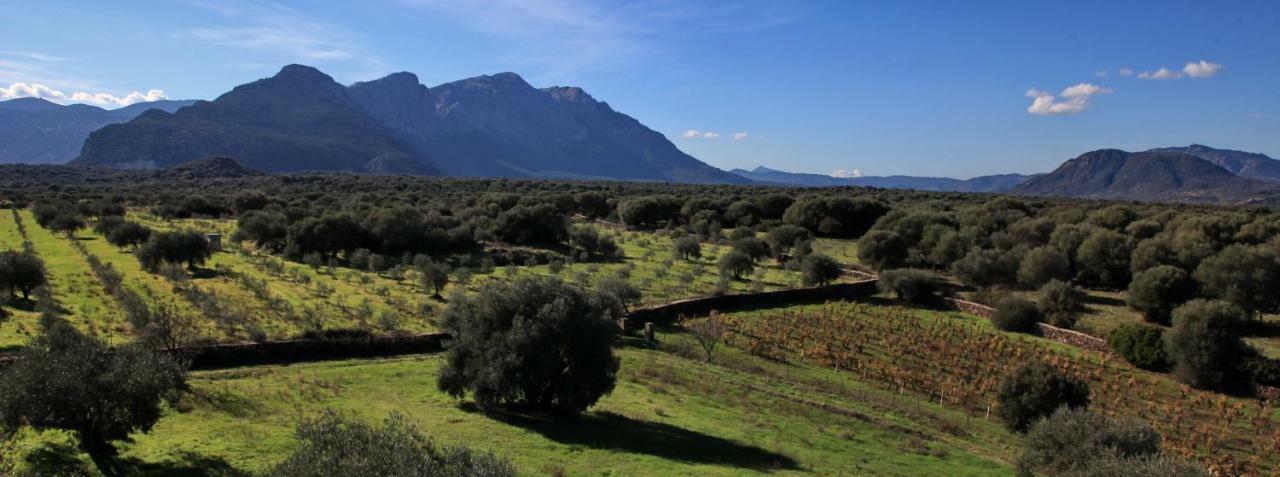 S'Ulumu Konuk evi Dorgali Dış mekan fotoğraf
