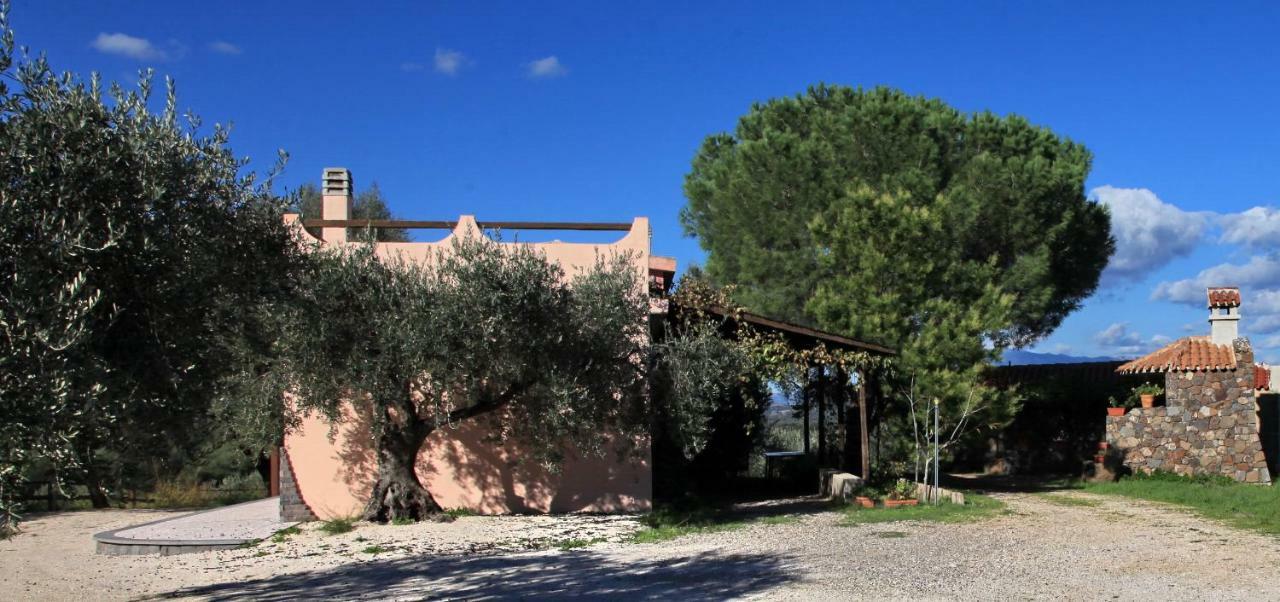 S'Ulumu Konuk evi Dorgali Dış mekan fotoğraf