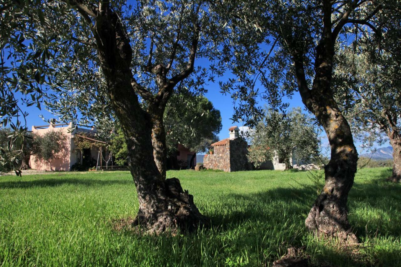 S'Ulumu Konuk evi Dorgali Dış mekan fotoğraf